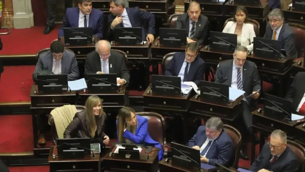 Se aprobó la Ley Bases en general: delegaciones al Ejecutivo, privatizaciones y reforma laboral