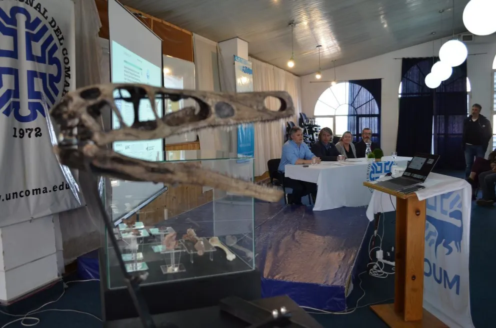 Presentaron en la UnCO a Diuqin lechiguanae, un nuevo dinosaurio carnívoro de Patagonia