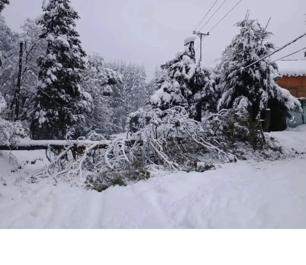Diversos trastornos ocasionó la intensa nevada en Villa La Angostura