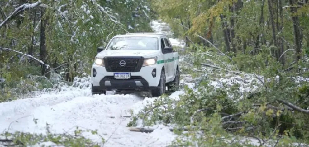 El Parque Nacional Lanín informó el cierre de la Ruta N°48