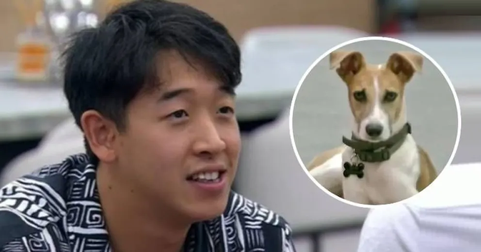 Qué pasará con Arturo, el perrito de Gran Hermano, tras la eliminación de Martín Ku
