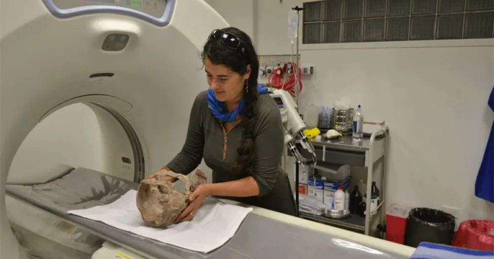 La directora del Museo Paleontológico Bariloche lidera estudio del cerebro de los dinosaurios
