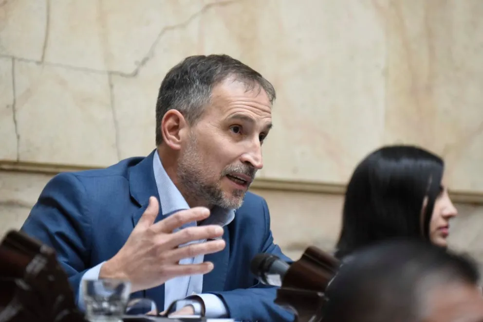 Agustín Domingo rechazó la reversión de ganancias y celebró la aplicación del RIGI