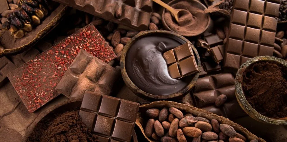El chocolate es el mejor compañero para poder pasar el invierno 