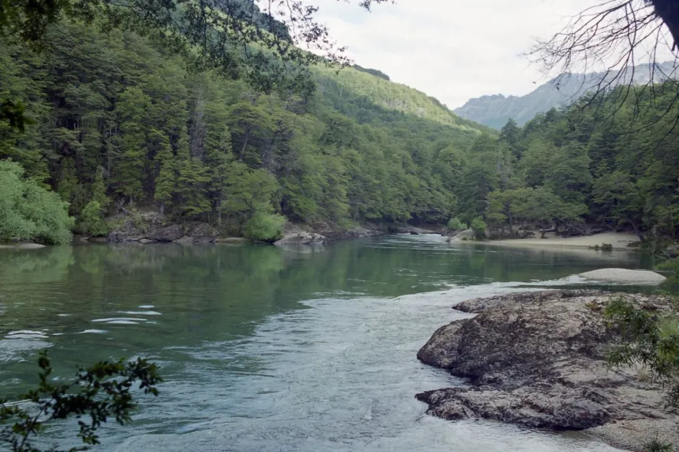 El doctor en Filosofía que se perdió en El Manso y vivió para contarlo