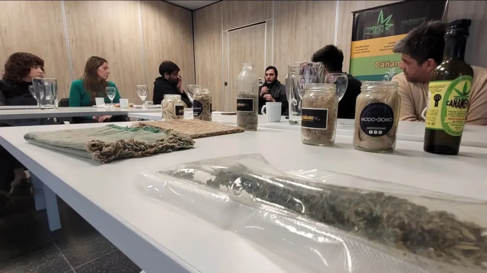 Cáñamo: se llevó a cabo jornada clave para la diversificación productiva