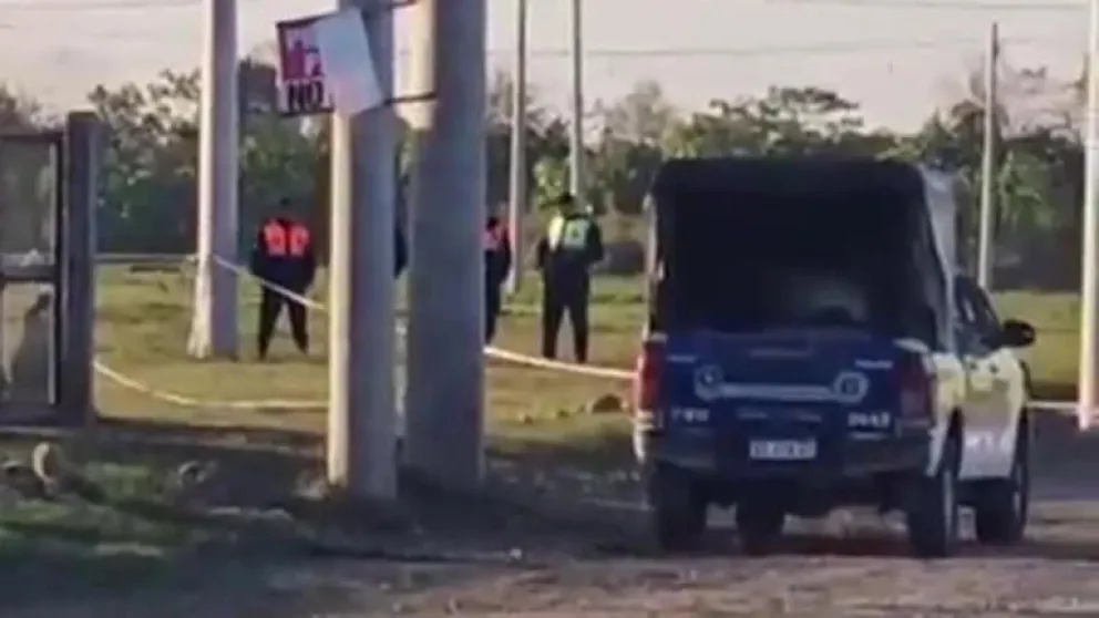 Una jauría de perros asesinó a un nene de 9 años en Tucumán