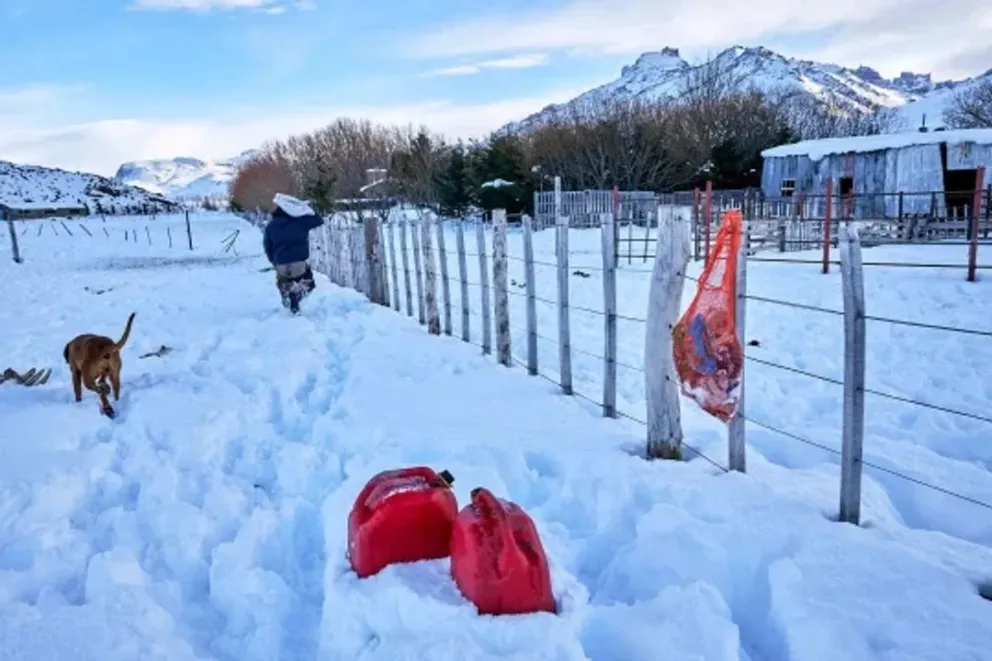 Poblador está aislado por la nieve pero se niega a dejar a sus perros