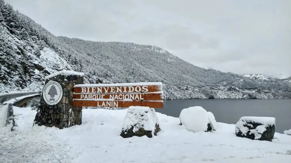 Siete trabajadores del Parque Nacional Lanín cesanteados