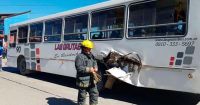 Colectivo chocó contra un tren en El Ñireco y deberán indemnizar a una pasajera