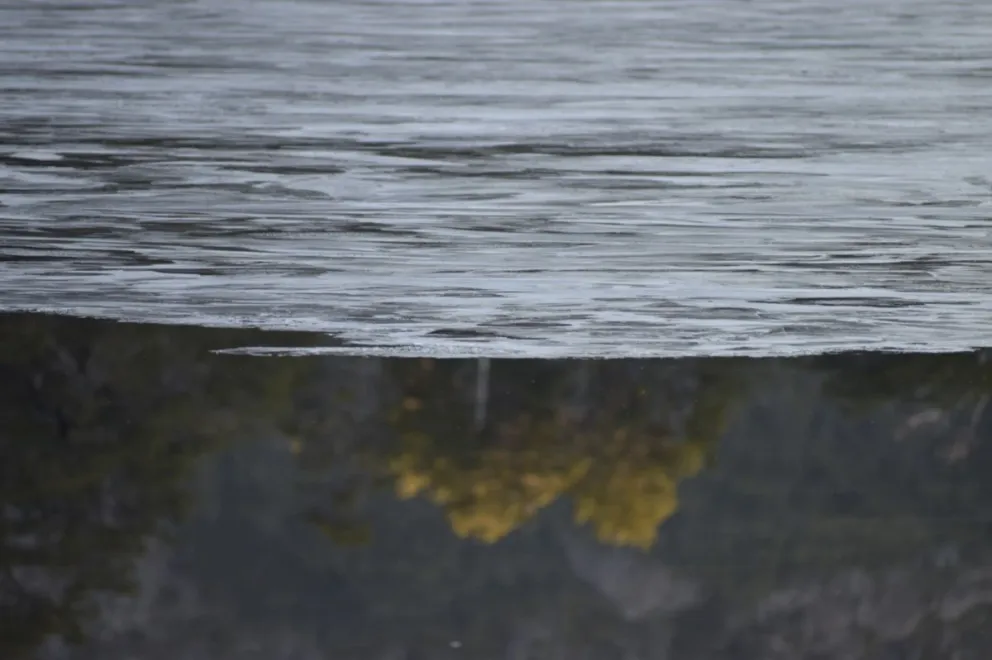 Videos y fotos: Lagos congelados en Bariloche por el frío extremo