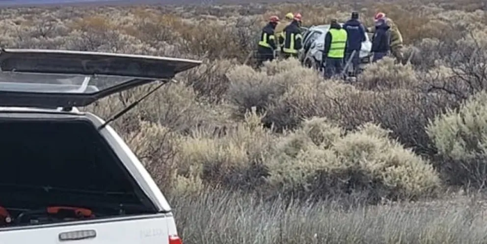 Volcaron en Ruta 237 y su perro murió por los golpes