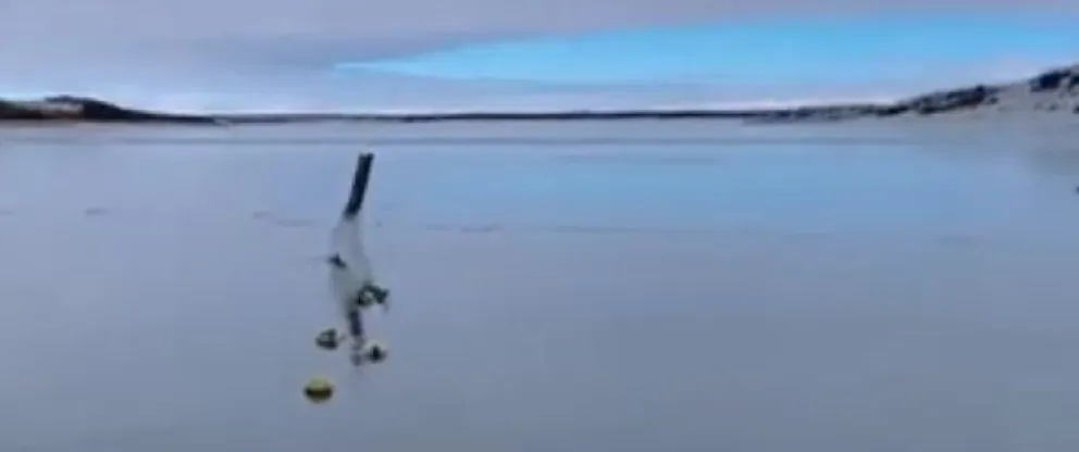 Video: La laguna de Maquinchao se convirtió en una pista de hielo natural