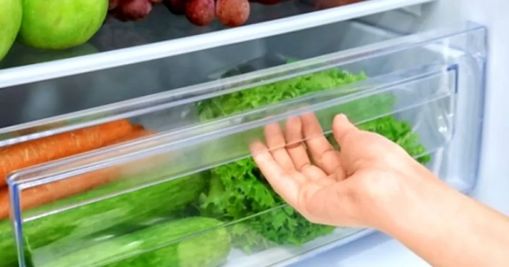El truco para que las verduras se mantengan frescas en la heladera