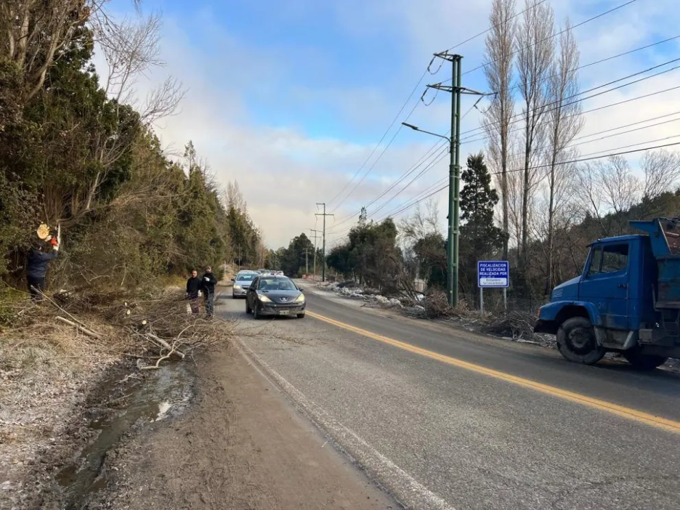Solicitan circular con precaución en avenida de los Pioneros