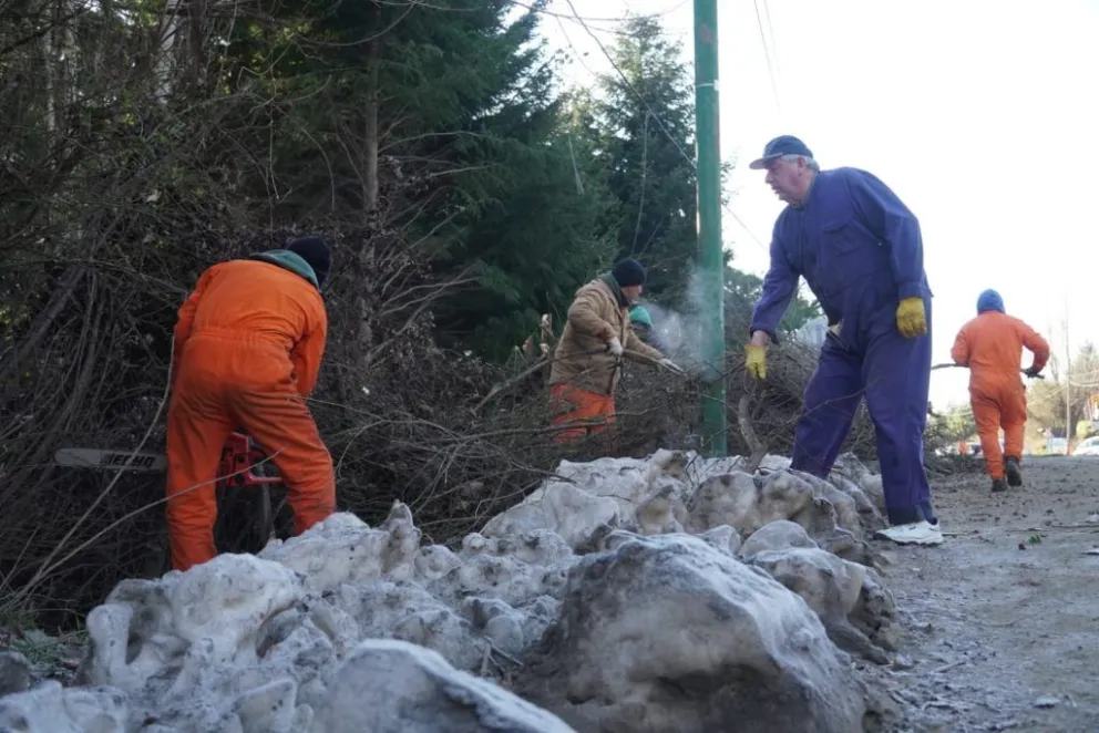 Intenso trabajo de las cuadrillas junto al intendente en poda preventiva