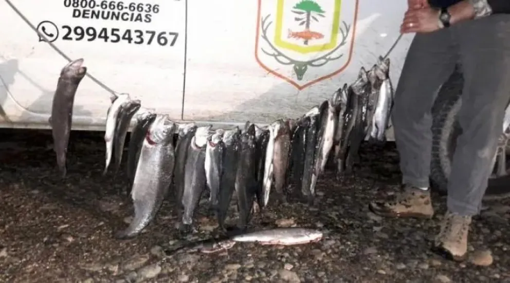Detuvieron a 5 pescadores y decomisaron 33 salmónidos por portación de pesca ilegal