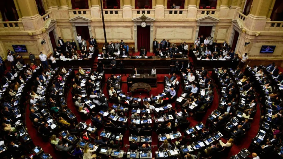 Ingresó a Diputados el proyecto para bajar la edad de imputabilidad
