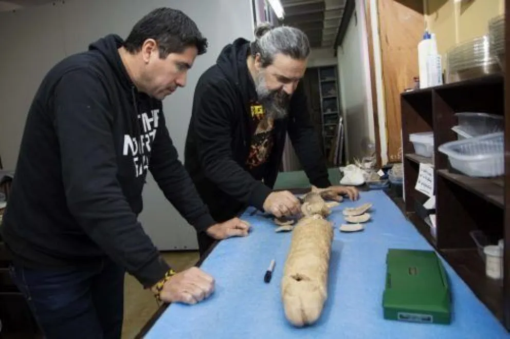 Inédito descubrimiento: científicos argentinos descubrieron los rastros humanos más antiguos de Sudamérica