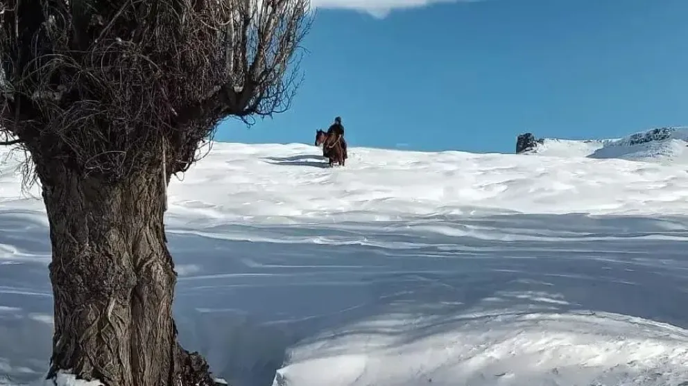 Río Negro prorroga y amplía la emergencia agropecuaria por sequía y nevadas