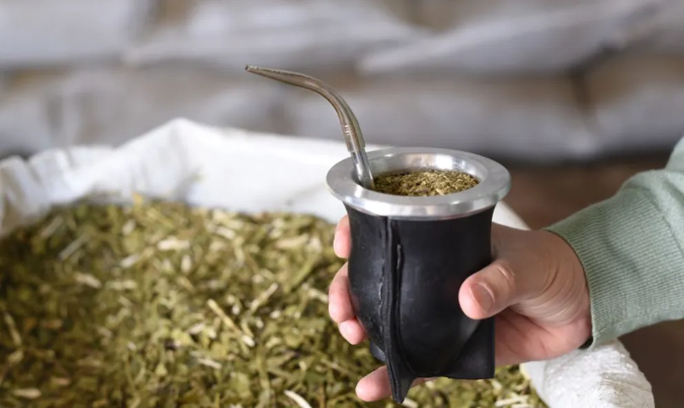 Desregulación económica en Argentina: Impacto en el mercado de la yerba mate