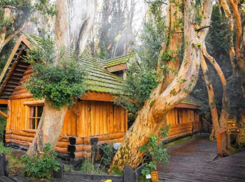 Realizan mantenimiento y refacciones en la casa de té del Bosque de Arrayanes