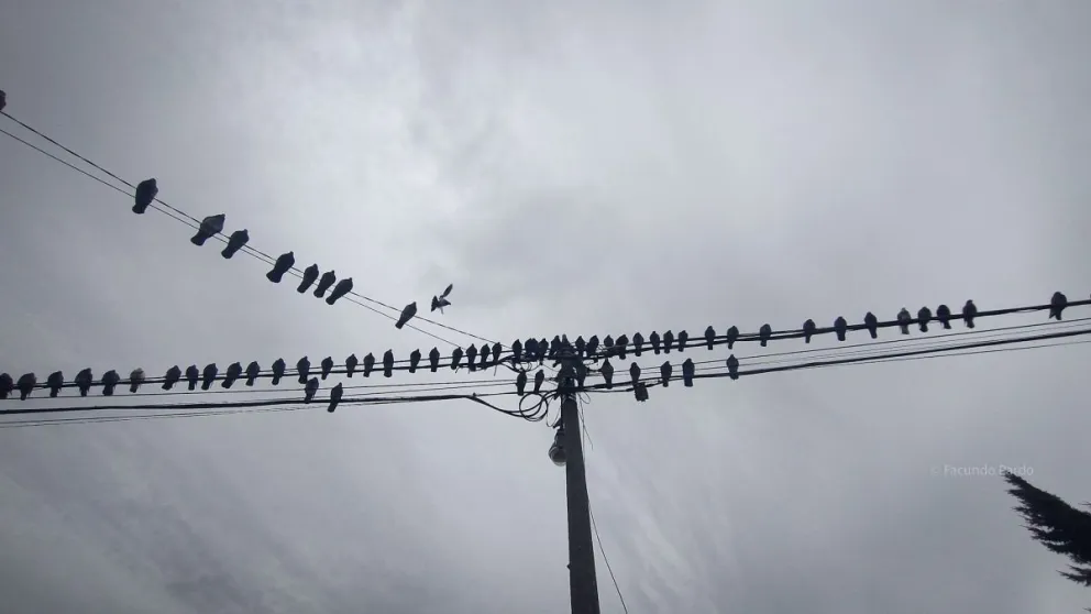Corte programado de energía en dos barrios de Bariloche para mañana sábado 