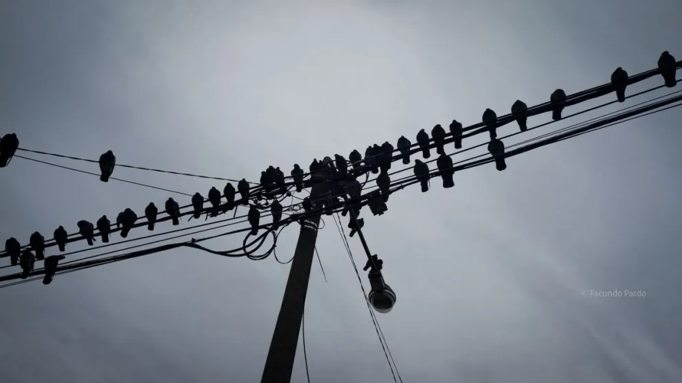El corte es en el marco del Programa de Mantenimiento Preventivo. (Foto: Facundo Pardo)