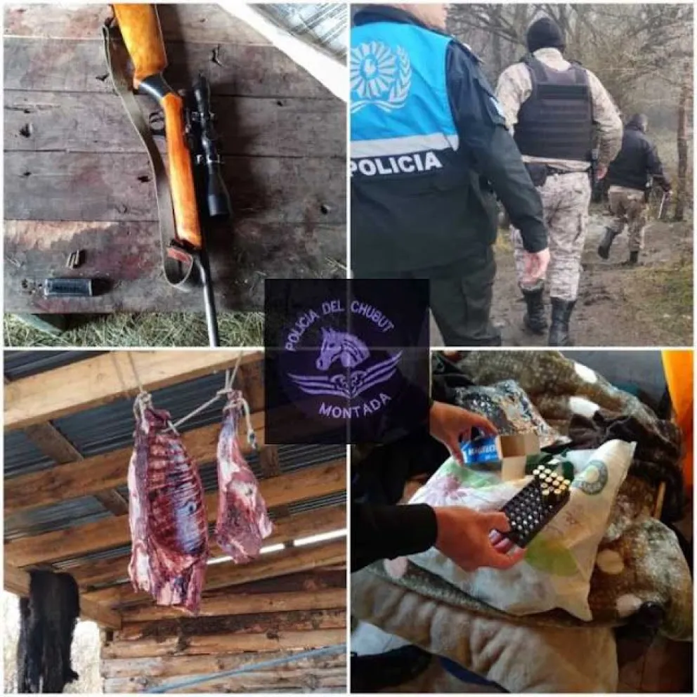 En otro caso de abigeato en la Comarca Andina, secuestraron armas, municiones y carne faenada
