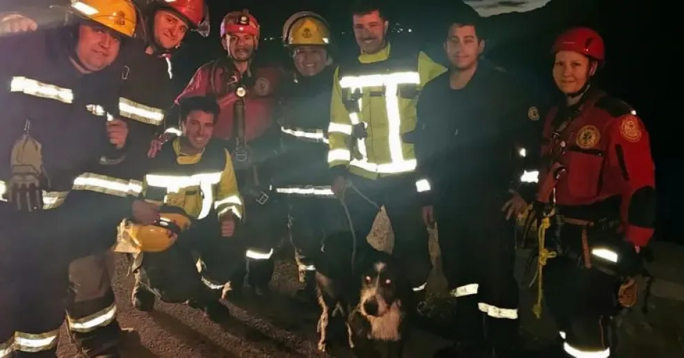 Lograron rescatar a un perro que estaba en un pedrero al costado de la ruta