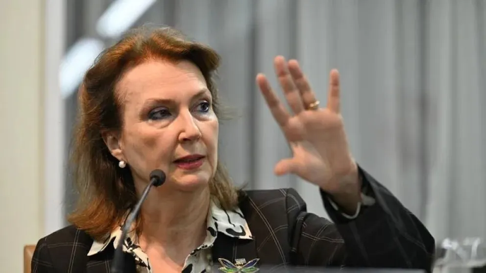 Sesión especial de la OEA por las elecciones venezolanas: Mondino estará presente