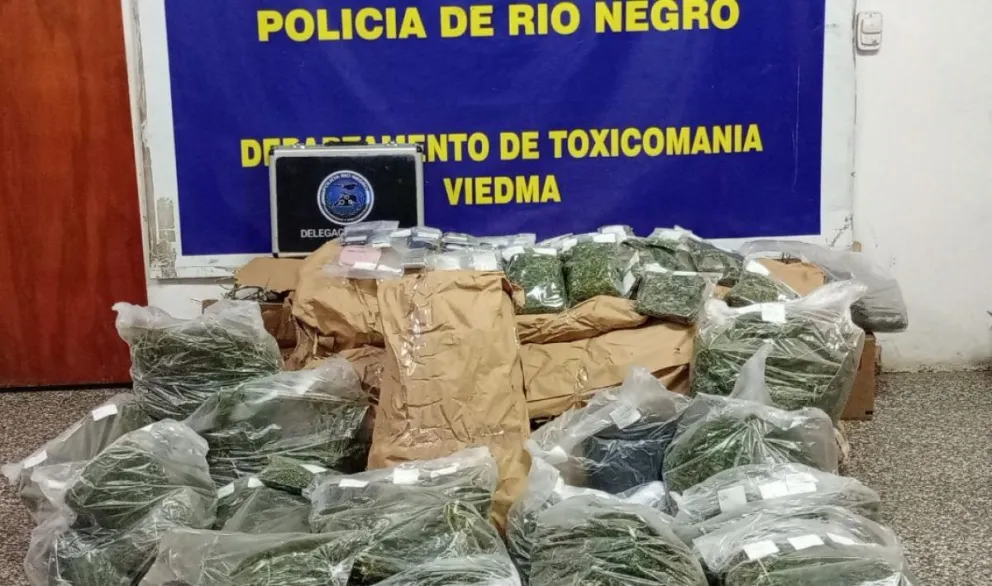 Van más de 700 denuncias realizadas a lo largo del año al 0800 Drogas.