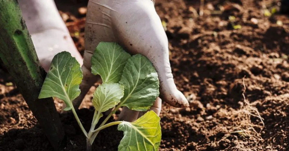 La Intendencia del Parque Nacional saluda a los ingenieros agrónomos en su día