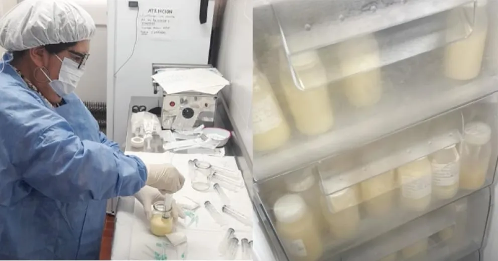 Detalles del funcionamiento del Banco de Leche Materna en Bariloche