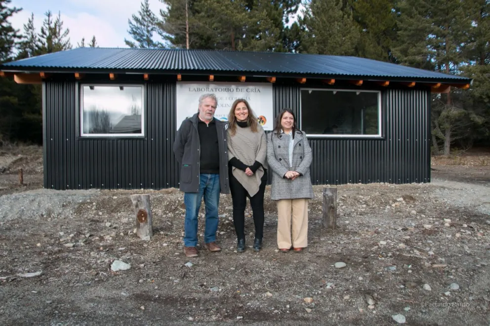 Ya está en funcionamiento el laboratorio de cría de abejas y abejorros