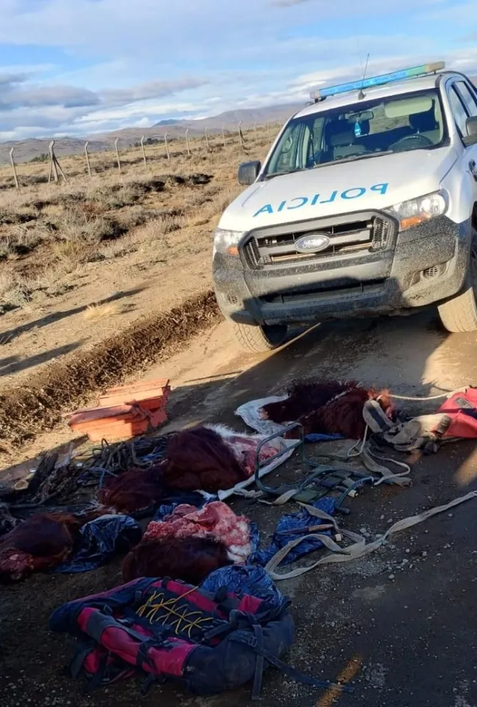 Faenaron un ternero de la estancia El Cóndor y los descubrieron: cinco detenidos