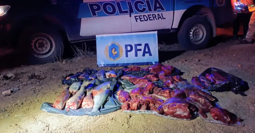 Secuestraron armas, municiones, carne de guanaco y truchas