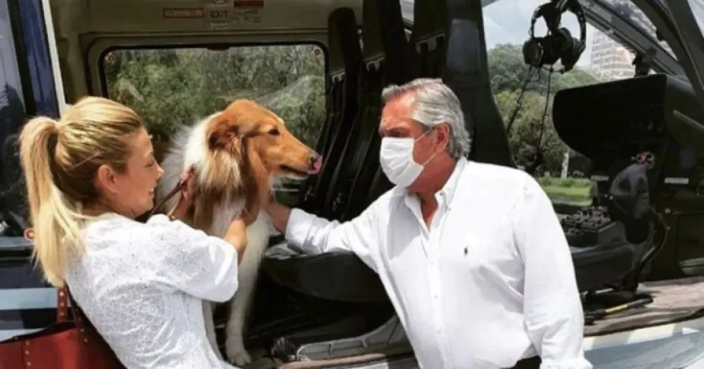 El posteo de la CM de Dylan, el perro de Alberto Fernández, que causó indignación