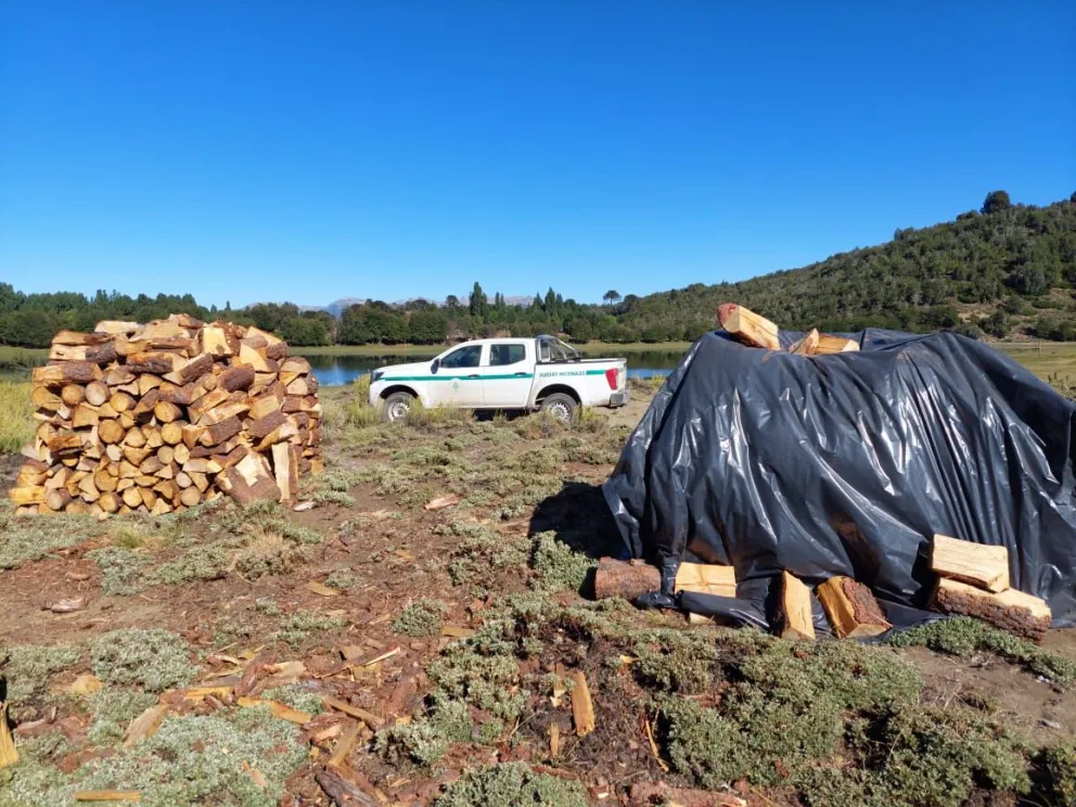 Un municipio neuquino dejará de utilizar leña nativa