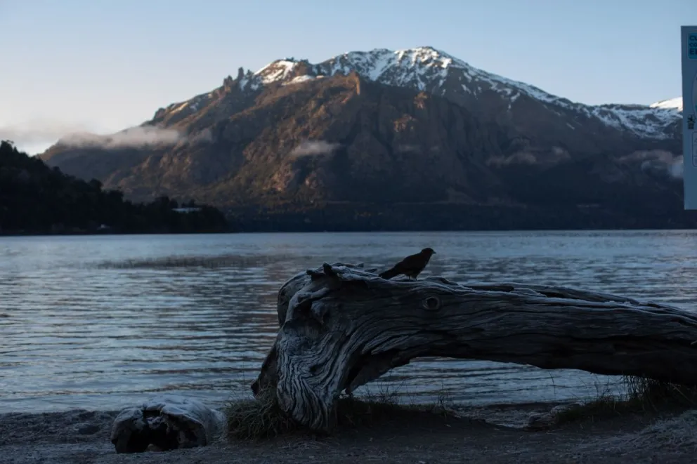 En Bariloche comienza a asomar la primavera