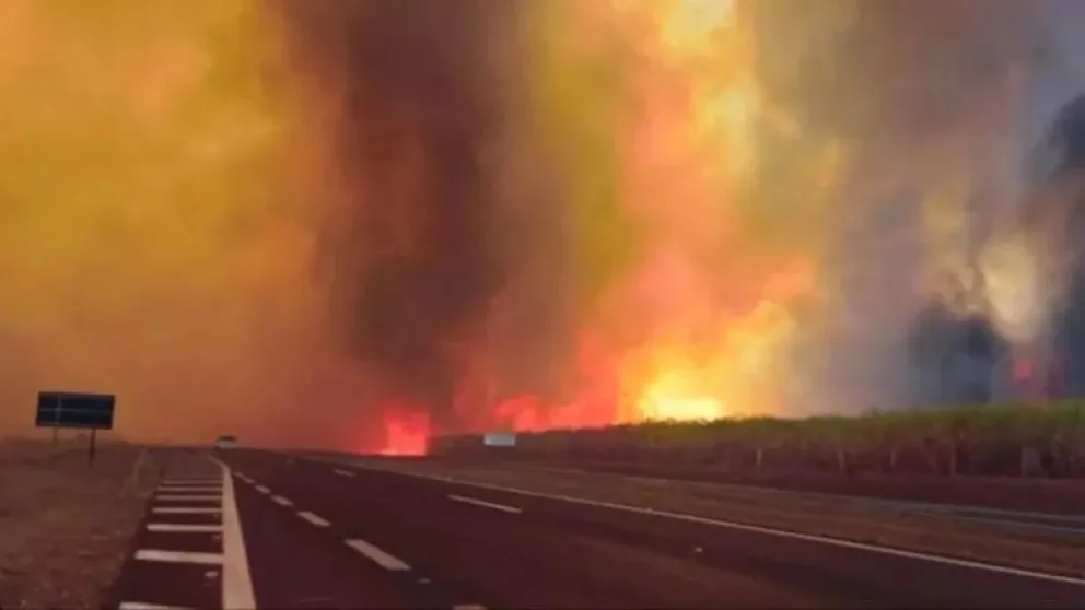 Incendios forestales en Brasil: hay 30 ciudades en alerta máxima