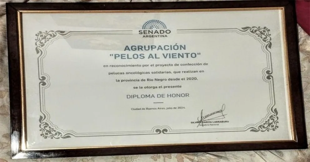 Integrantes de Pelos Al Viento fueron reconocidas por el Senado de la Nación