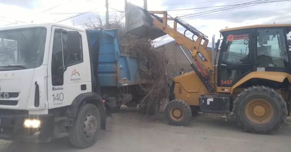 Camión recolector de residuos forestales domiciliarios: así funciona en Bariloche  