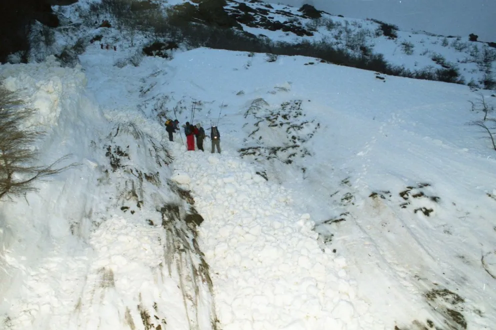 La avalancha no respetó nada a su paso. Gentileza: Toncek Arko.