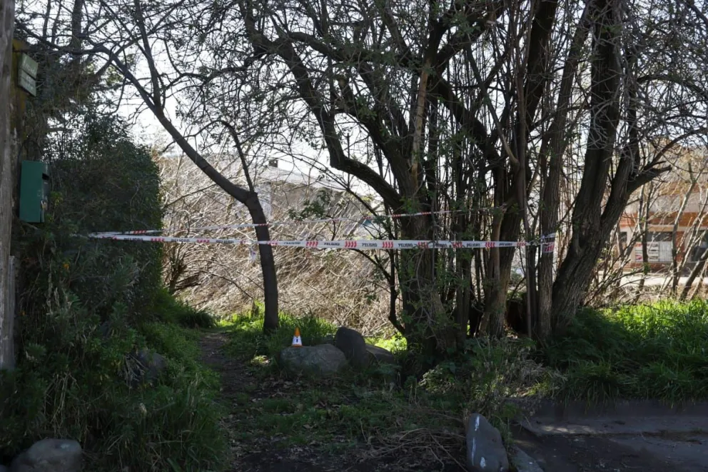 Murió un hombre al caer de la escalera mientras podaba un árbol en el barrio Ñireco 