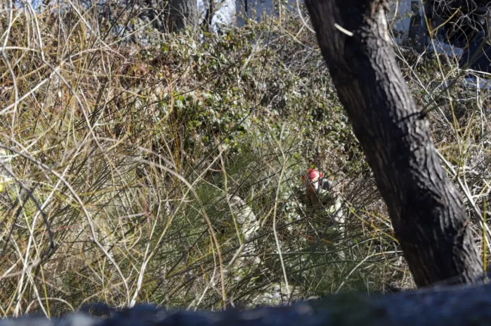 Cómo fue el fatal accidente que se llevó la vida de un vecino de Bariloche