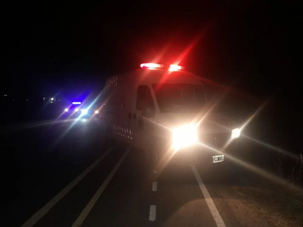 Otro vehículo que choca un caballo suelto en la ruta
