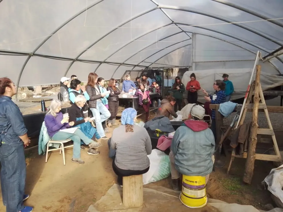 Aprendieron a hacer plantines y sustratos en el Vivero Educativo