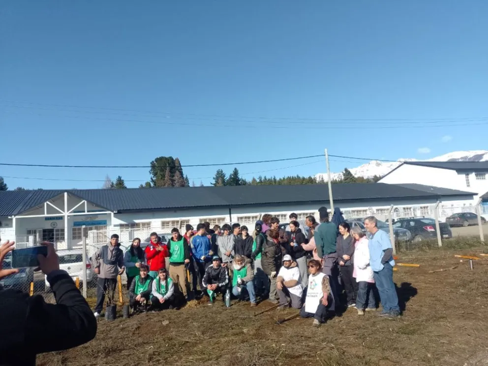 Plantaron especies nativas en la zona del Hospital Modular 
