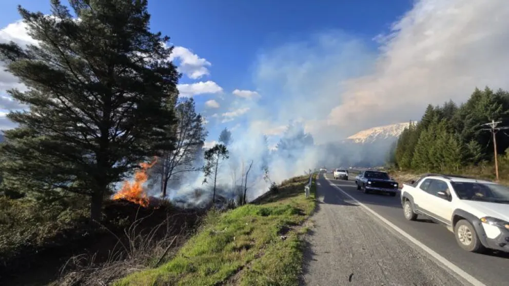 Tras horas de combate, extinguieron el incendio forestal en Ruta 40
